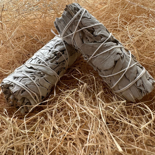 Bâton sauge blanche 100mm