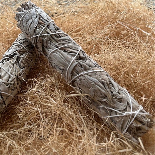 Bâton sauge blanche 200mm